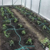 Jak vyrobit kapkové zavlažování pro zahradu vlastníma rukama